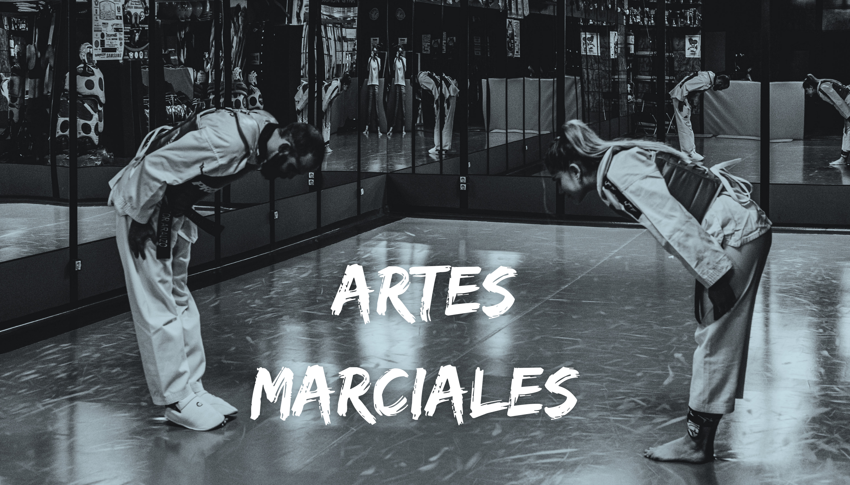 Artes marciales